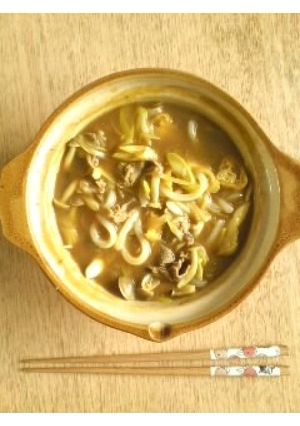 ネギだく！カレーうどん-レシピのメイン写真