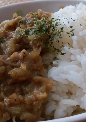 もやしたっぷりドライカレー-レシピのメイン写真