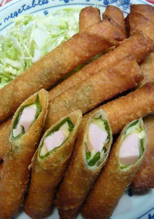お魚ソーセージのスティック春巻き-レシピのメイン写真