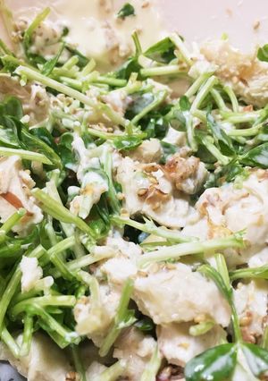 【健康レシピ】豆苗ささ身サラダ（簡単）-レシピのメイン写真