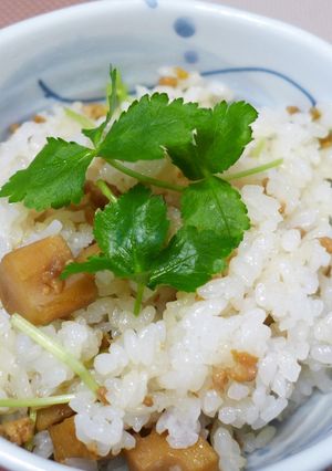 蓮根ご飯-レシピのメイン写真