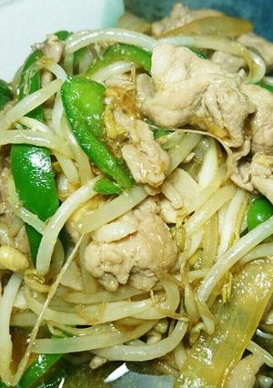 豚肉ともやしのオイスター炒め-レシピのメイン写真