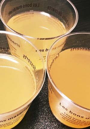 簡単☆ヘルシー☆梅酒ゼリー-レシピのメイン写真