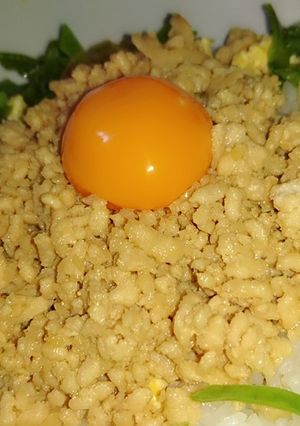 ひと味プラスでワンランクupのそぼろ丼♪-レシピのメイン写真