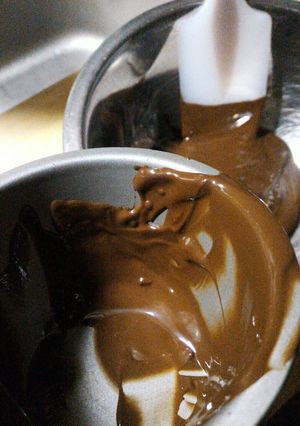 ヨーグルティアでチョコレートを溶かす-レシピのメイン写真