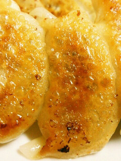 白菜と大葉の餃子-レシピのメイン写真