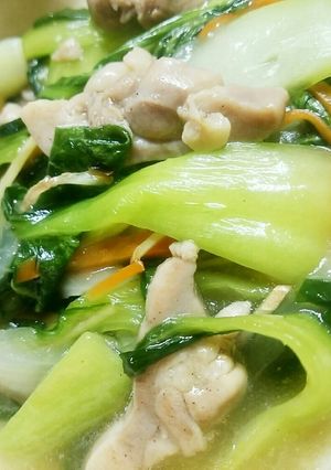 鶏肉とチンゲン菜の中華あん-レシピのメイン写真