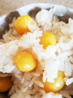 ほっこりほろにが~ぎんなんご飯~-レシピのメイン写真