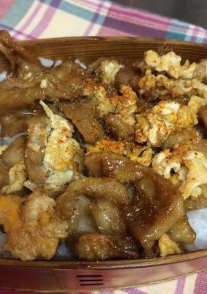 鶏皮で♪親子丼風弁当♬-レシピのメイン写真