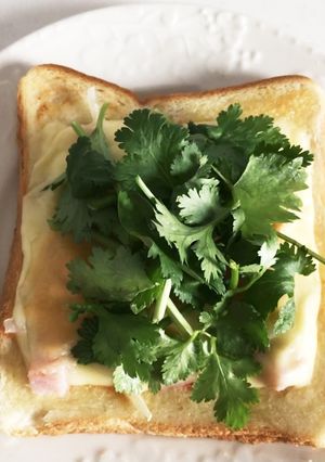 パクチー香るチーズトースト-レシピのメイン写真