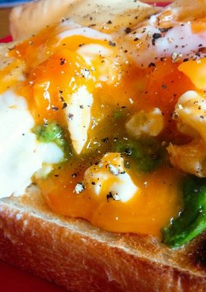 カフェ気分なの♪トロたまアボカドトースト-レシピのメイン写真