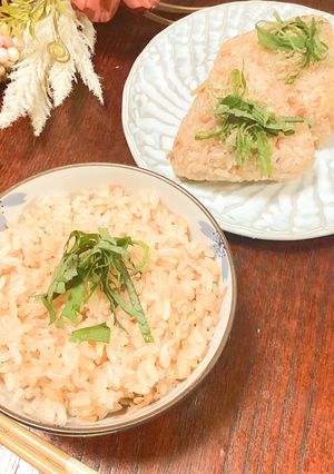 桜エビ生姜ご飯-レシピのメイン写真