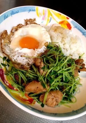 草丼(鶏肉、豆苗)どんぶり-レシピのメイン写真