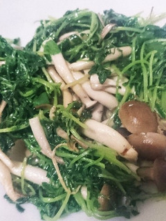 豆苗とシメジのイタリアン炒め-レシピのメイン写真