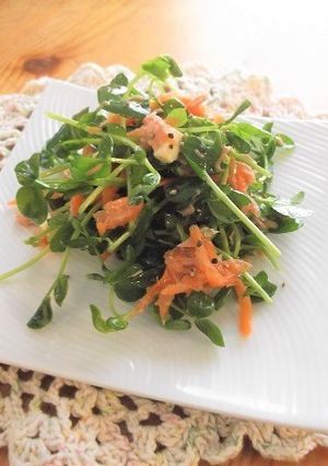 豆苗のツナポンチーズサラダ-レシピのメイン写真