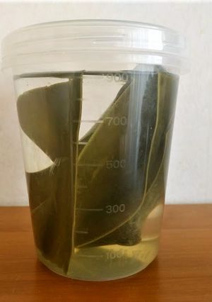 【失敗なし！】昆布だしの取り方（水出し）-レシピのメイン写真