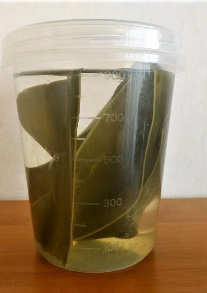【失敗なし！】昆布だしの取り方（水出し）-レシピのメイン写真