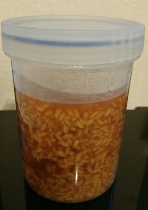 IH(アムウェイ)又は炊飯器で作る醤油麹-レシピのメイン写真