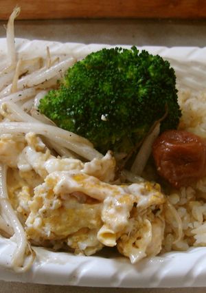 最速の玉子焼き弁当-レシピのメイン写真