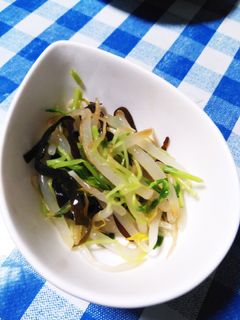 節約!簡単!豆苗ともやしのサッパリナムル-レシピのメイン写真