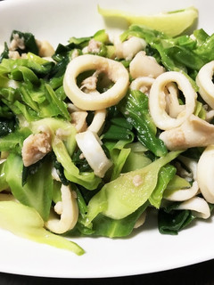 イカとキャベツ&葉玉ねぎの炒め物-レシピのメイン写真