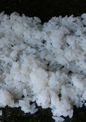 酢飯　中巻き１２本分-レシピのメイン写真