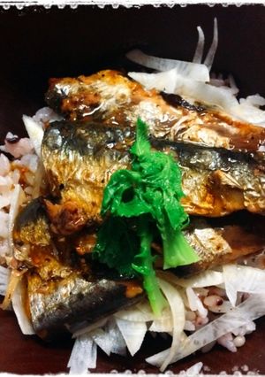 パパっと超早！蒲焼き丼☆-レシピのメイン写真