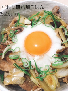 ランチに♩素なし簡単豚肉のスタミナ丼-レシピのメイン写真