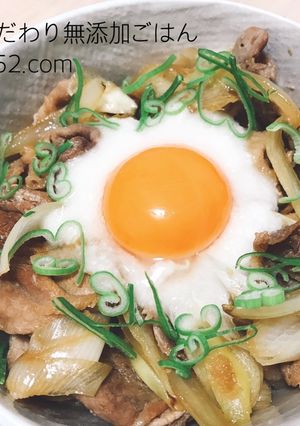 ランチに♩素なし簡単豚肉のスタミナ丼-レシピのメイン写真