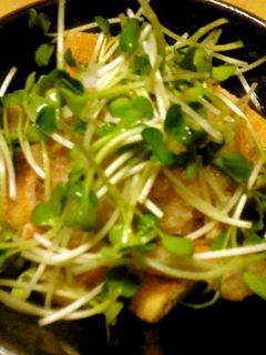 かいわれとさくさく油揚げのおろしポン酢-レシピのメイン写真