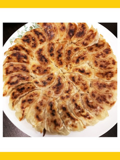 ダイエット中にも◎ヘルシー餃子-レシピのメイン写真