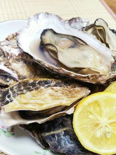 簡単手軽な牡蠣の食べ方【蒸し牡蠣で】-レシピのメイン写真
