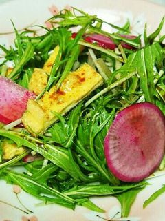 赤かぶと水菜のサラダ-レシピのメイン写真
