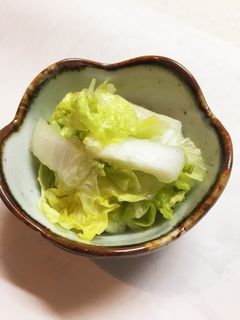 白菜しゃっきり おひたし。-レシピのメイン写真