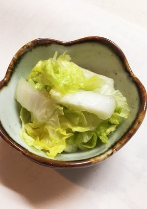 白菜しゃっきり おひたし。-レシピのメイン写真