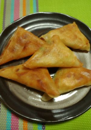 カリッ・ほくほく！カレー味揚げ餃子サモサ-レシピのメイン写真