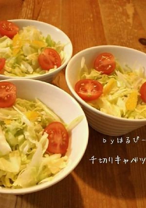 千切りキャベツの柚子サラダ-レシピのメイン写真