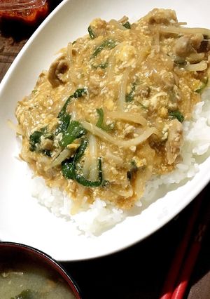 余った麻婆豆腐の素をリメイク！簡単丼♡-レシピのメイン写真