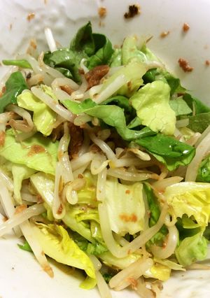 秋刀魚の蒲焼もやしサラダ菜の甘辛サラダ-レシピのメイン写真