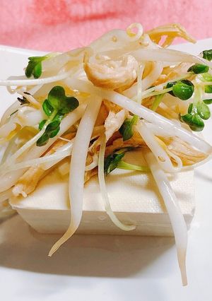 高タンパク低カロリー　鶏ささみともやし-レシピのメイン写真