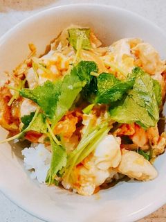 卵ふわとろ親子丼-レシピのメイン写真
