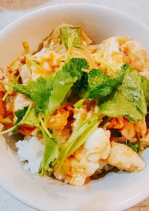 卵ふわとろ親子丼-レシピのメイン写真