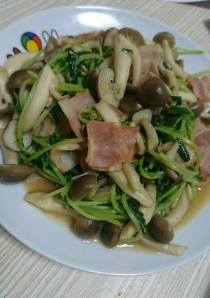 豆苗とベーコンのソテー-レシピのメイン写真