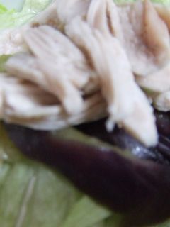 簡単蒸し鶏、なすのサラダ-レシピのメイン写真