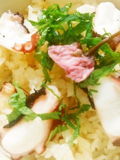 炊飯器でたこ飯-レシピのメイン写真