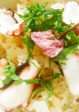 炊飯器でたこ飯-レシピのメイン写真