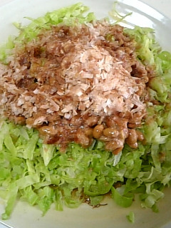 5分でできる!キャベツの納豆サラダ-レシピのメイン写真