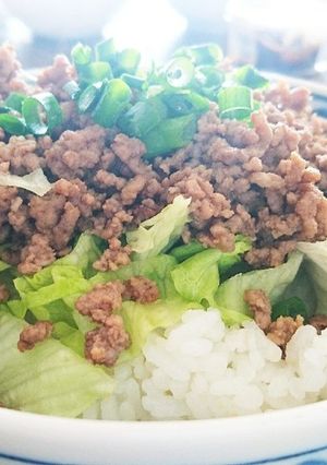 ひき肉丼-レシピのメイン写真