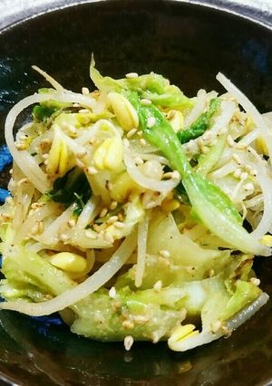 甘酸っぱ♥白菜ともやし炒め-レシピのメイン写真
