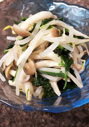 もやしとほうれん草としめじのお浸し-レシピのメイン写真